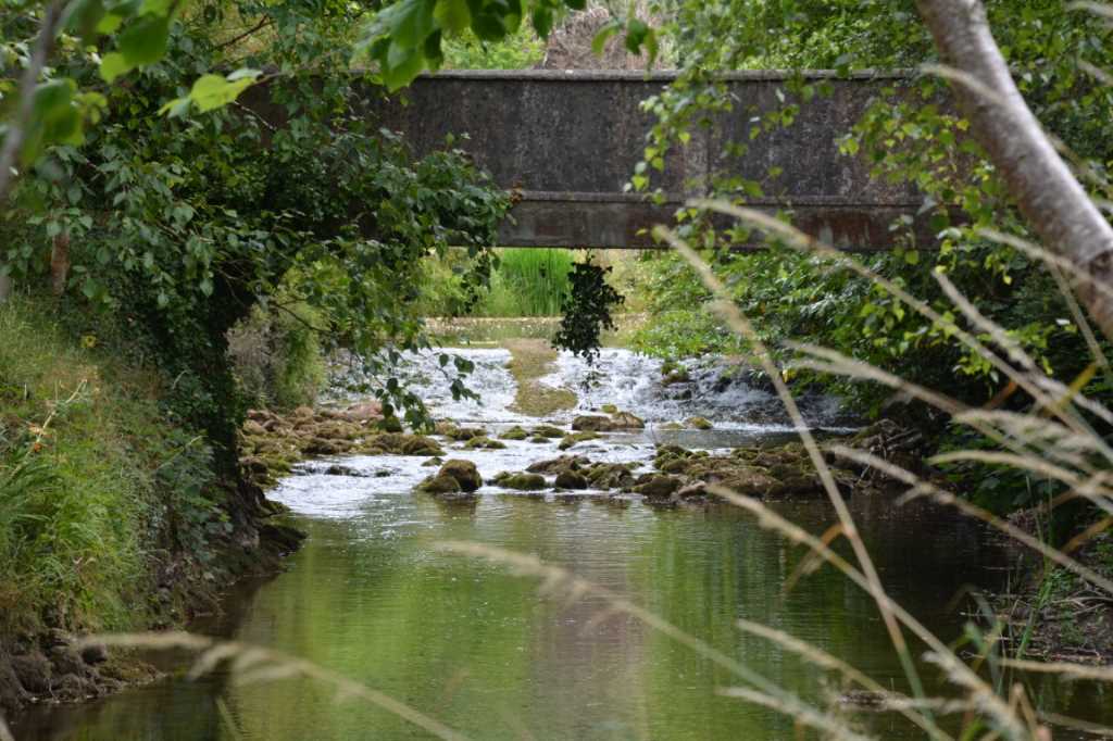 DSC_5778Mittel_.JPG